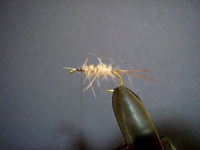photos pour monrage d'une emergente de mouche de mai.
